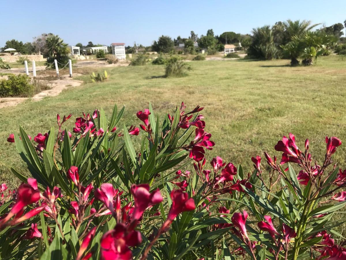 Masseria Gelsi Torre Chianca Buitenkant foto