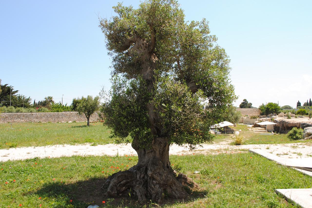 Masseria Gelsi Torre Chianca Buitenkant foto