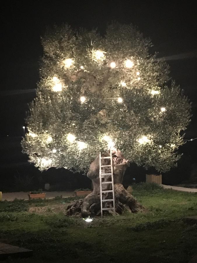 Masseria Gelsi Torre Chianca Buitenkant foto