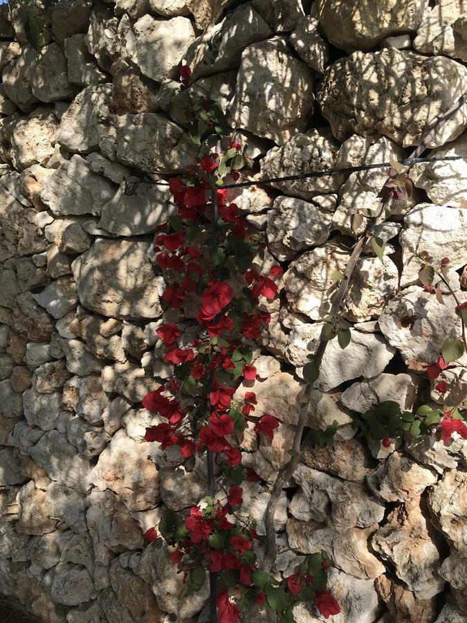 Masseria Gelsi Torre Chianca Buitenkant foto