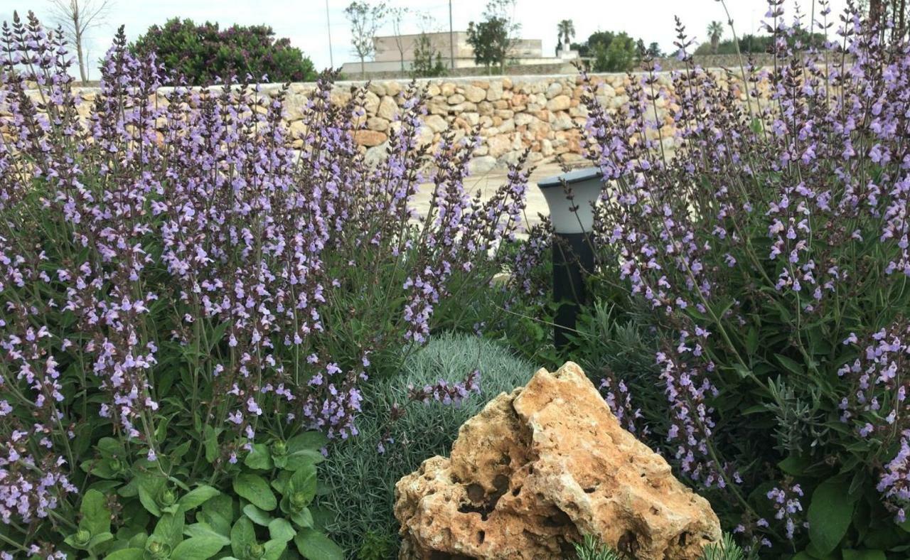 Masseria Gelsi Torre Chianca Buitenkant foto