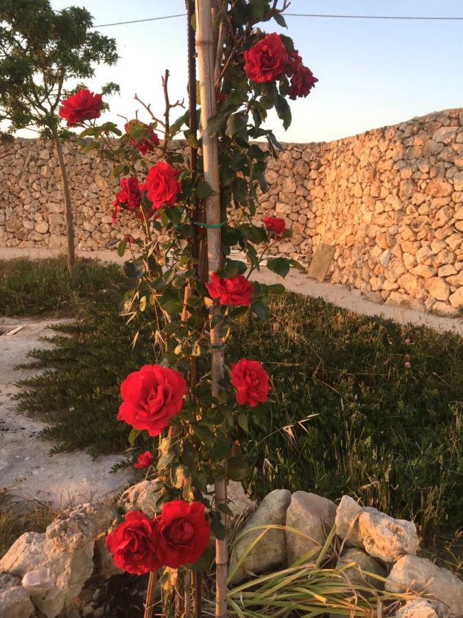 Masseria Gelsi Torre Chianca Buitenkant foto